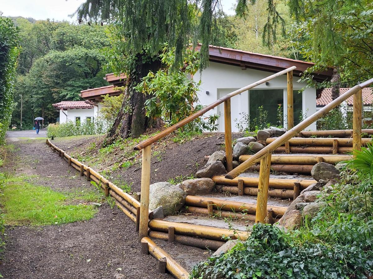 Le Betulle B&B Origlio Buitenkant foto